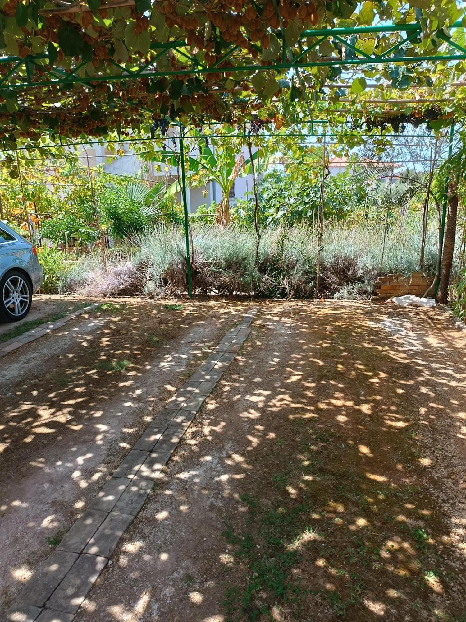 Levak Apartments - Apt. 2 Pjescana Uvala Dış mekan fotoğraf