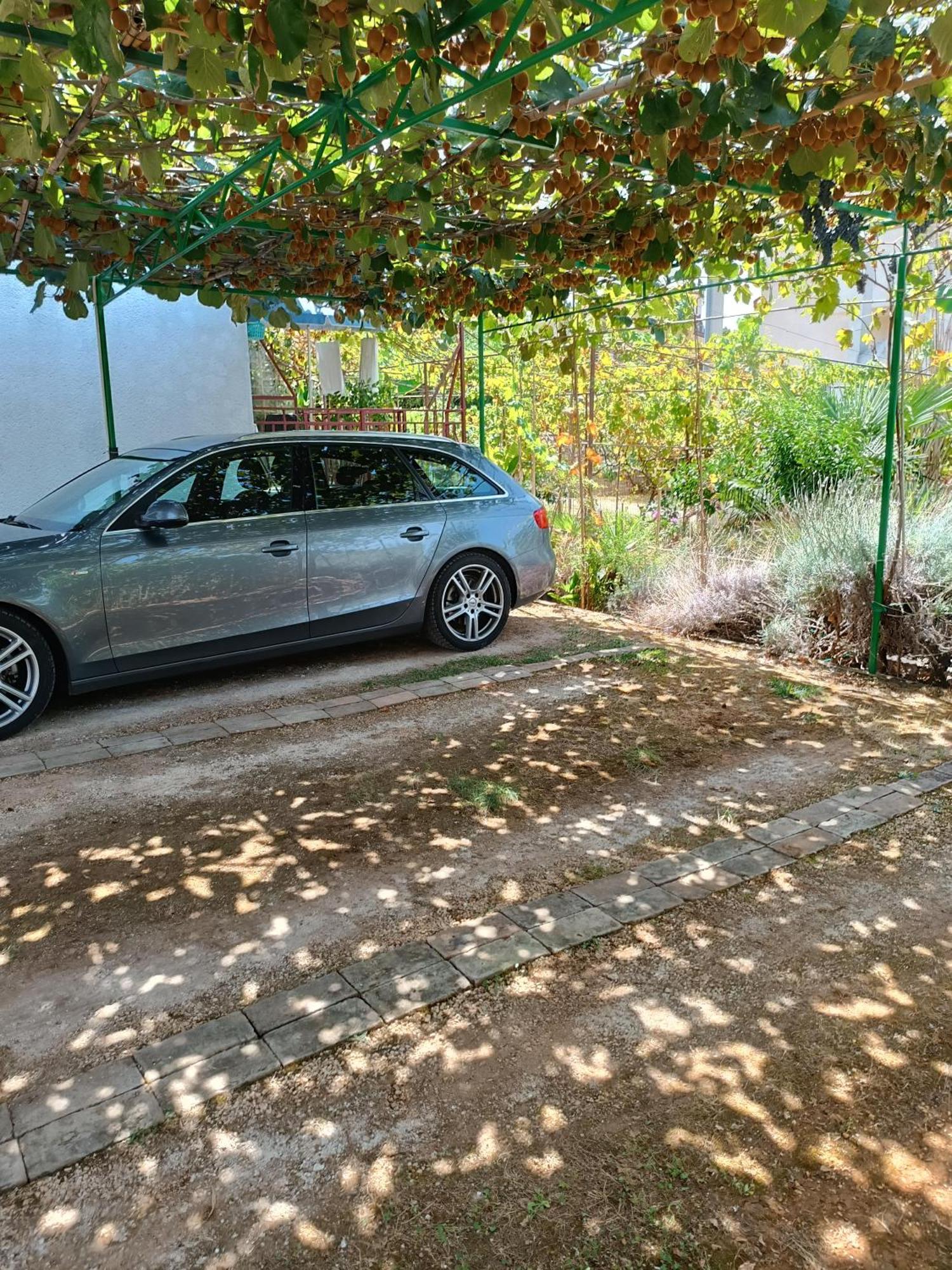 Levak Apartments - Apt. 2 Pjescana Uvala Dış mekan fotoğraf