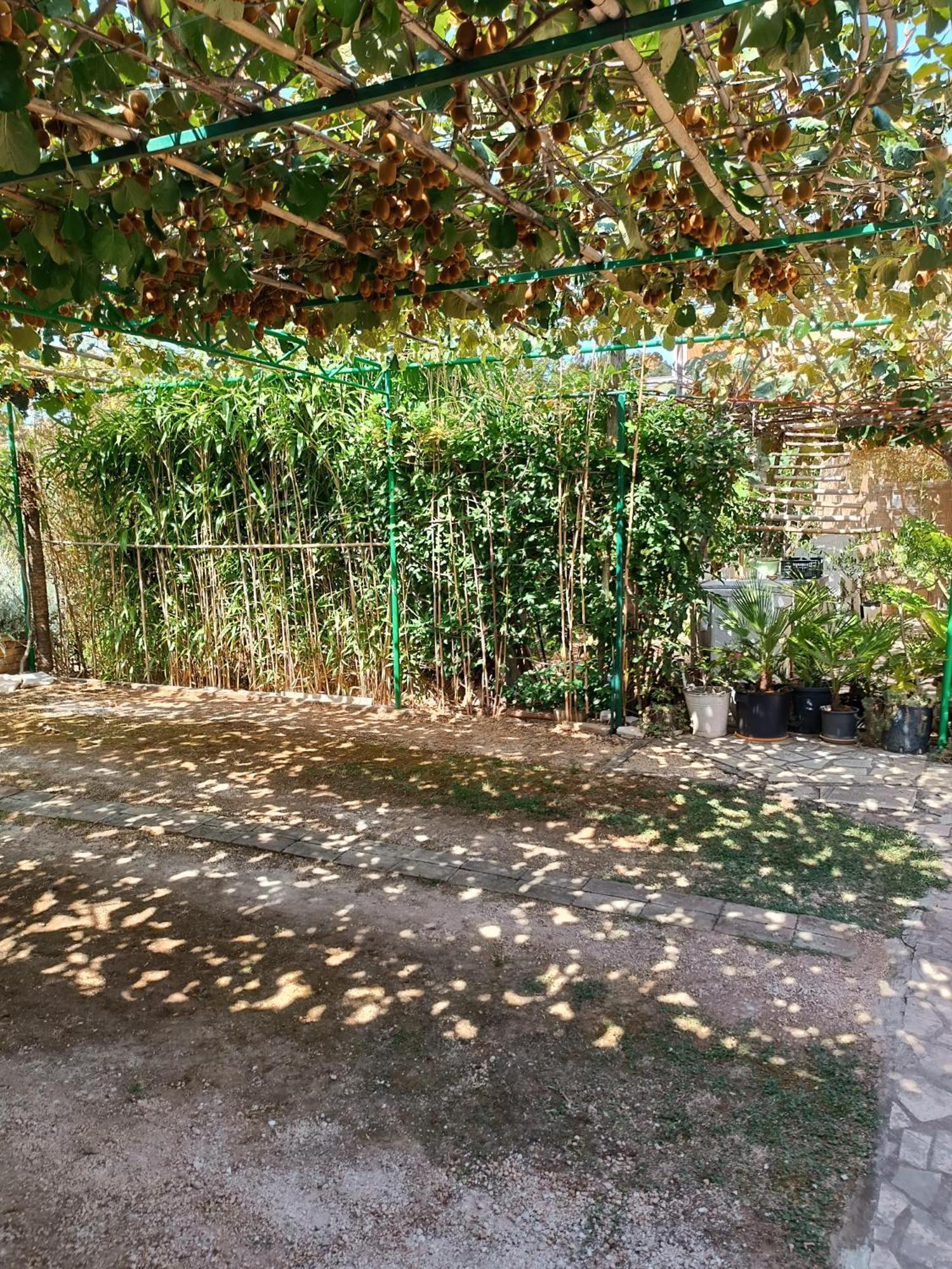 Levak Apartments - Apt. 2 Pjescana Uvala Dış mekan fotoğraf