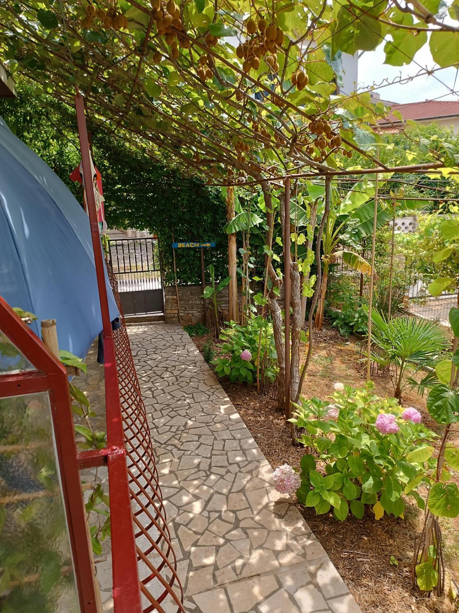Levak Apartments - Apt. 2 Pjescana Uvala Dış mekan fotoğraf